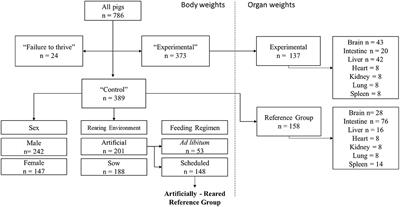 Developing a Reference Database for Typical Body and Organ Growth of the Artificially Reared Pig as a Biomedical Research Model